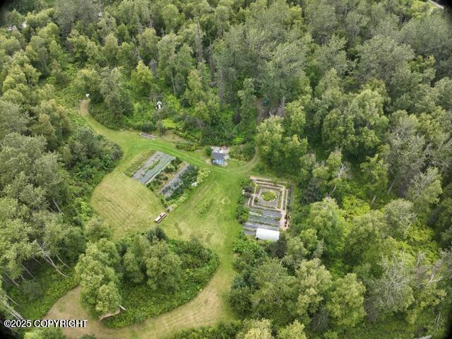13183 N Glenn Highway Property Photo 5