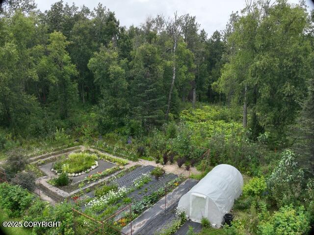 13183 N Glenn Highway Property Photo 7