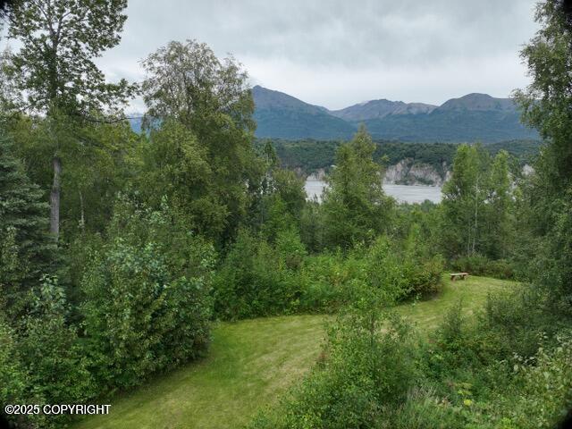 13183 N Glenn Highway Property Photo 8