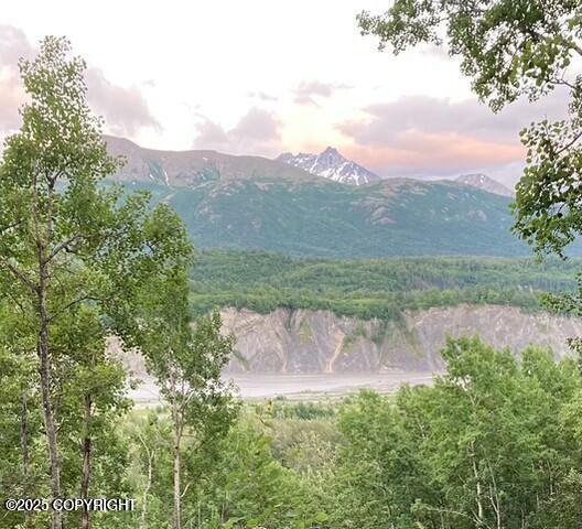 13183 N Glenn Highway Property Photo 10
