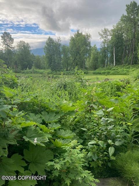 13183 N Glenn Highway Property Photo 14