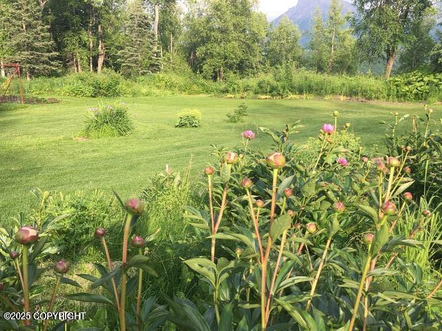 13183 N Glenn Highway Property Photo 16