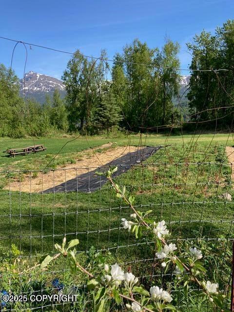 13183 N Glenn Highway Property Photo 17