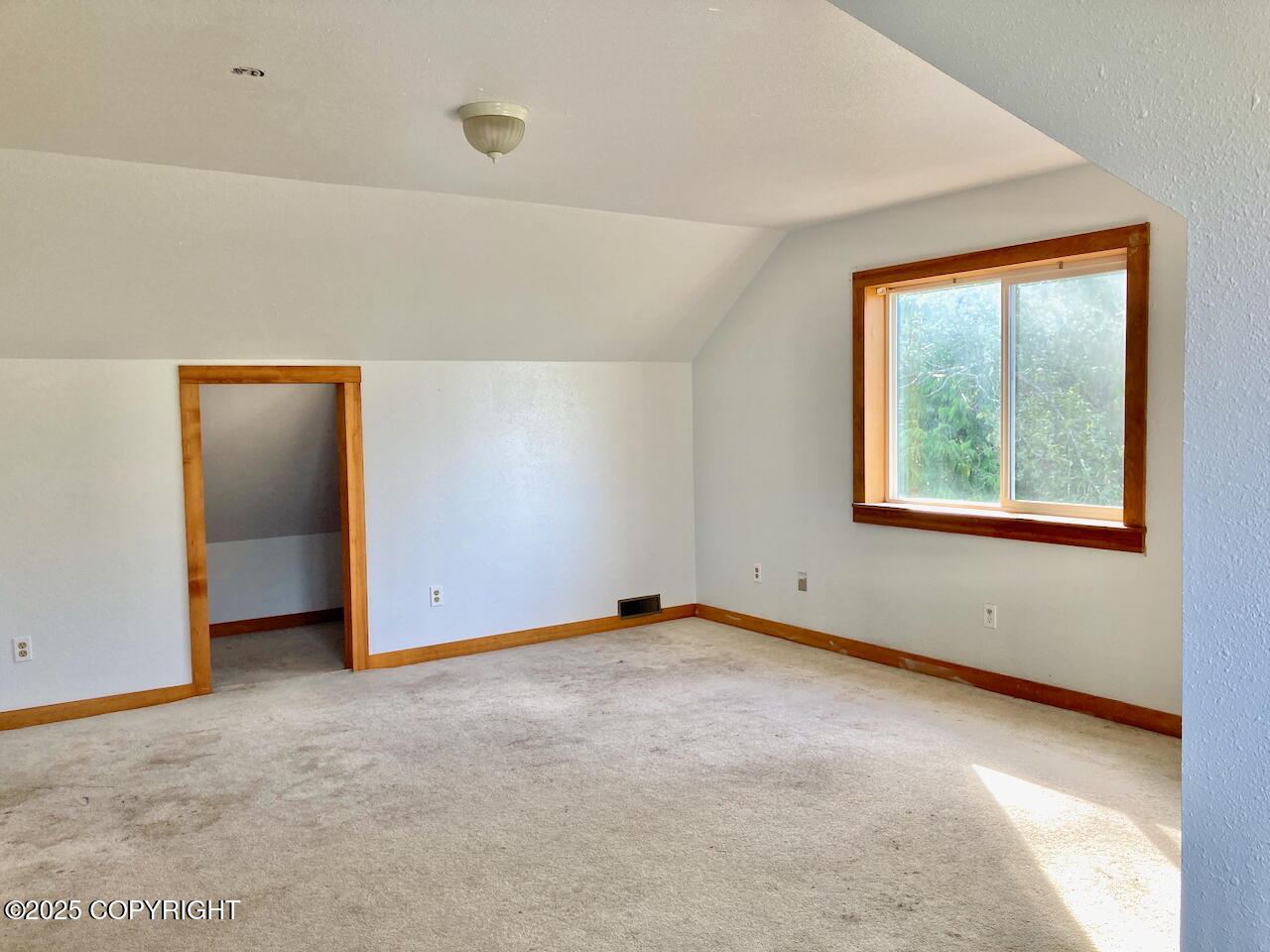 1409 Sunnyside Drive Property Photo 12