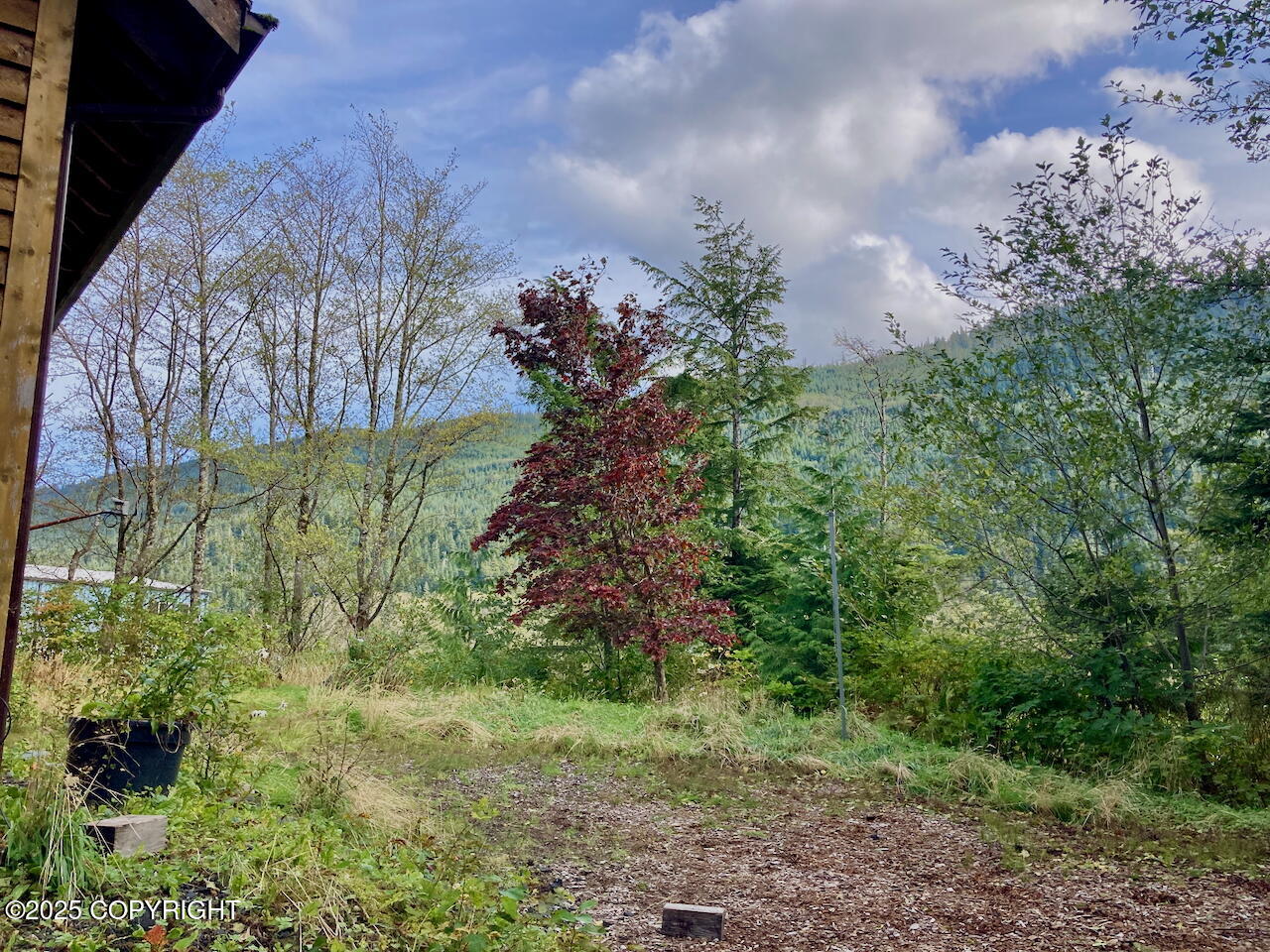 1409 Sunnyside Drive Property Photo 17