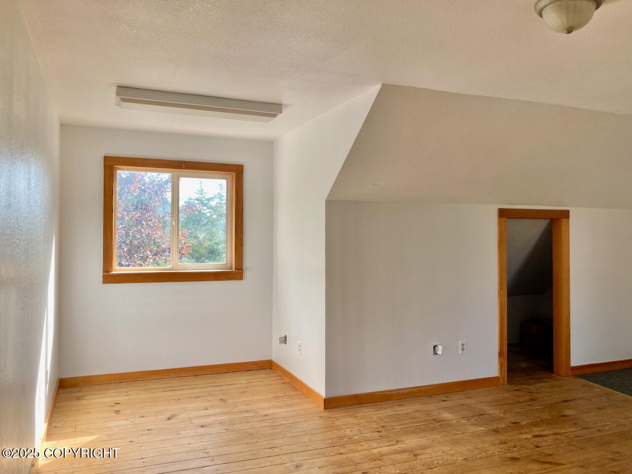 1409 Sunnyside Drive Property Photo 41