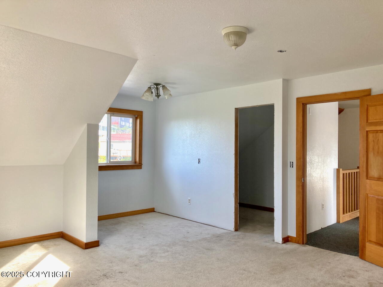 1409 Sunnyside Drive Property Photo 48