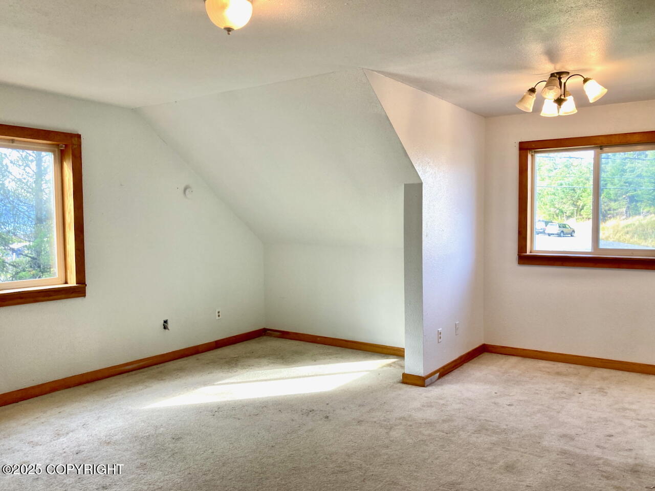 1409 Sunnyside Drive Property Photo 49