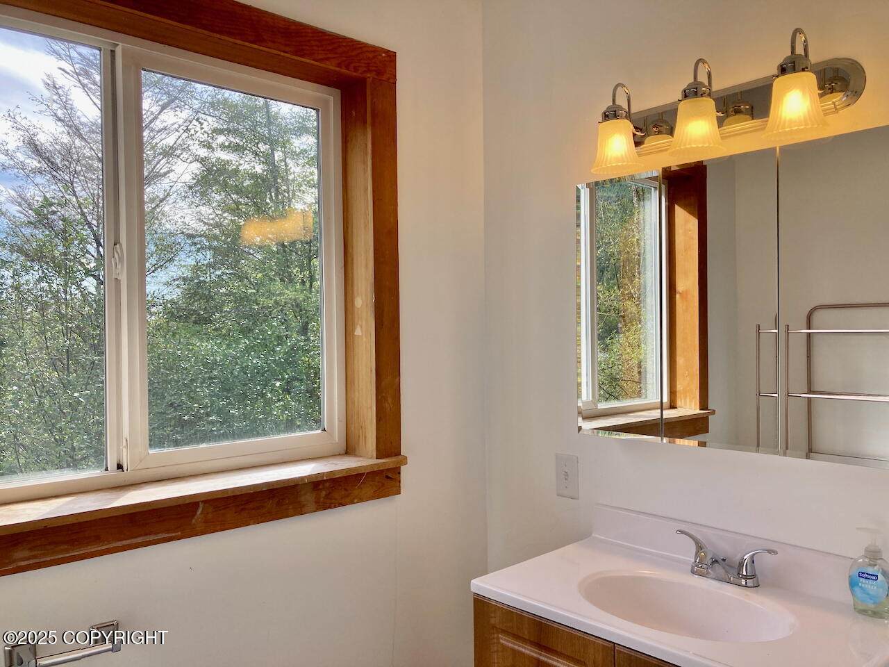 1409 Sunnyside Drive Property Photo 52