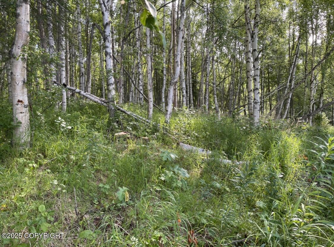 L3 Eight Mile Property Photo 1