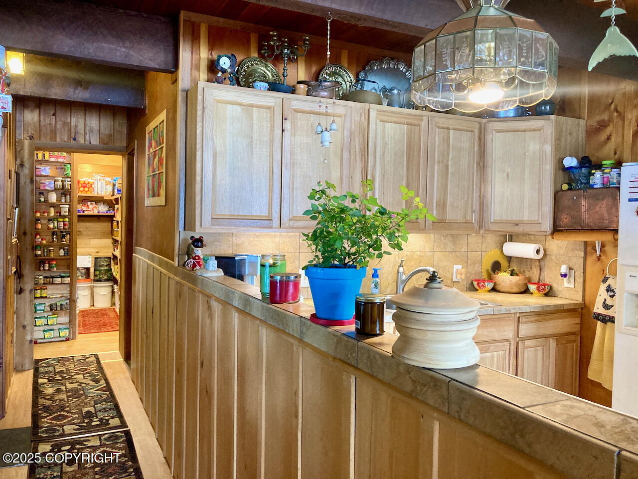 16a Steep Road Property Photo 34