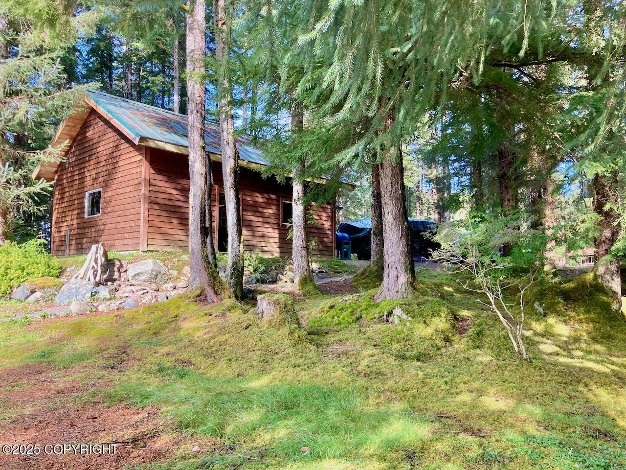 16a Steep Road Property Photo 104