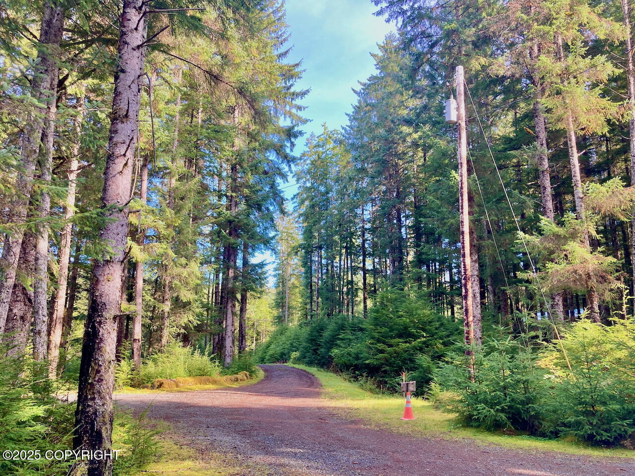 16a Steep Road Property Photo 110
