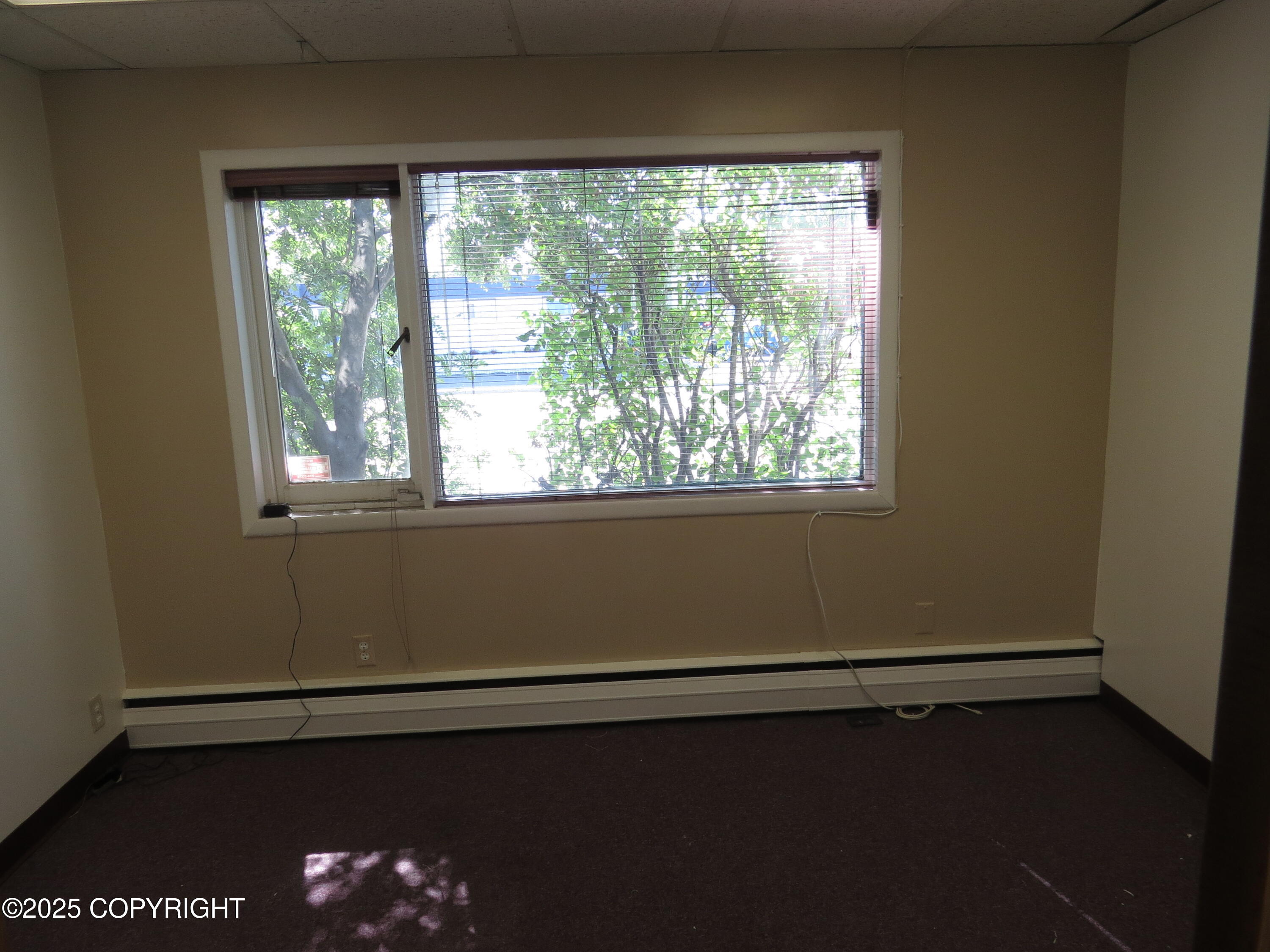 1035 W Fireweed Lane #200 Property Photo 4