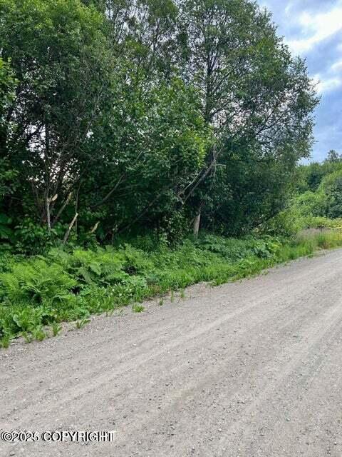 L3 B4 Blockade Glacier Road Property Photo 6