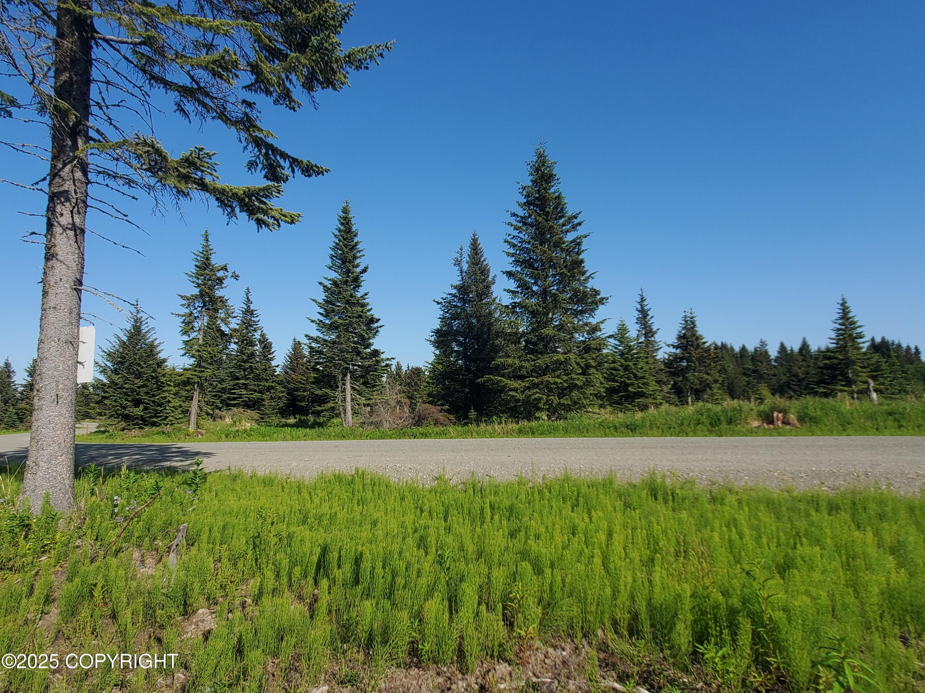 17589 Chefornak Street Property Photo 2