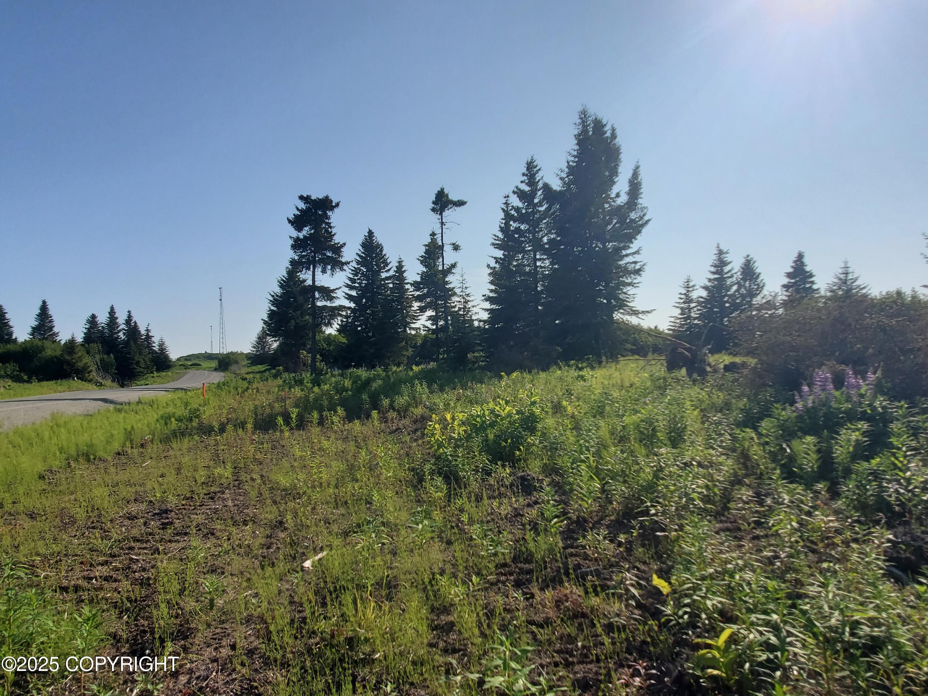 17589 Chefornak Street Property Photo 3