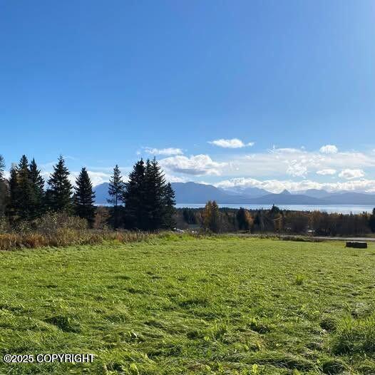 40055 Johnna Circle Property Photo 31