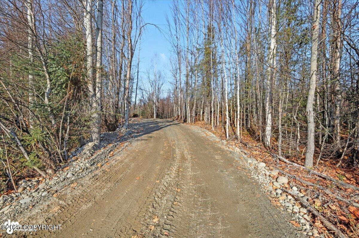 16395 E Kashwitna Road Property Photo 21