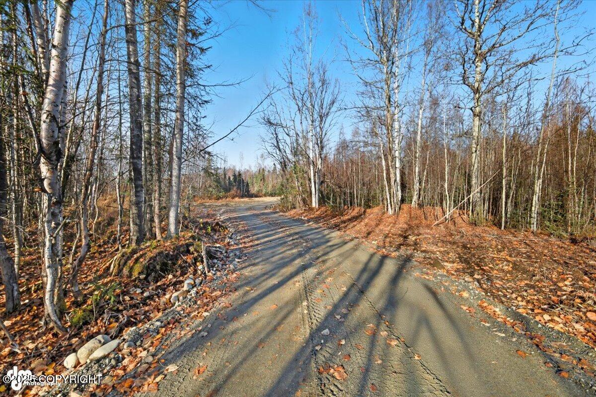 16395 E Kashwitna Road Property Photo 22