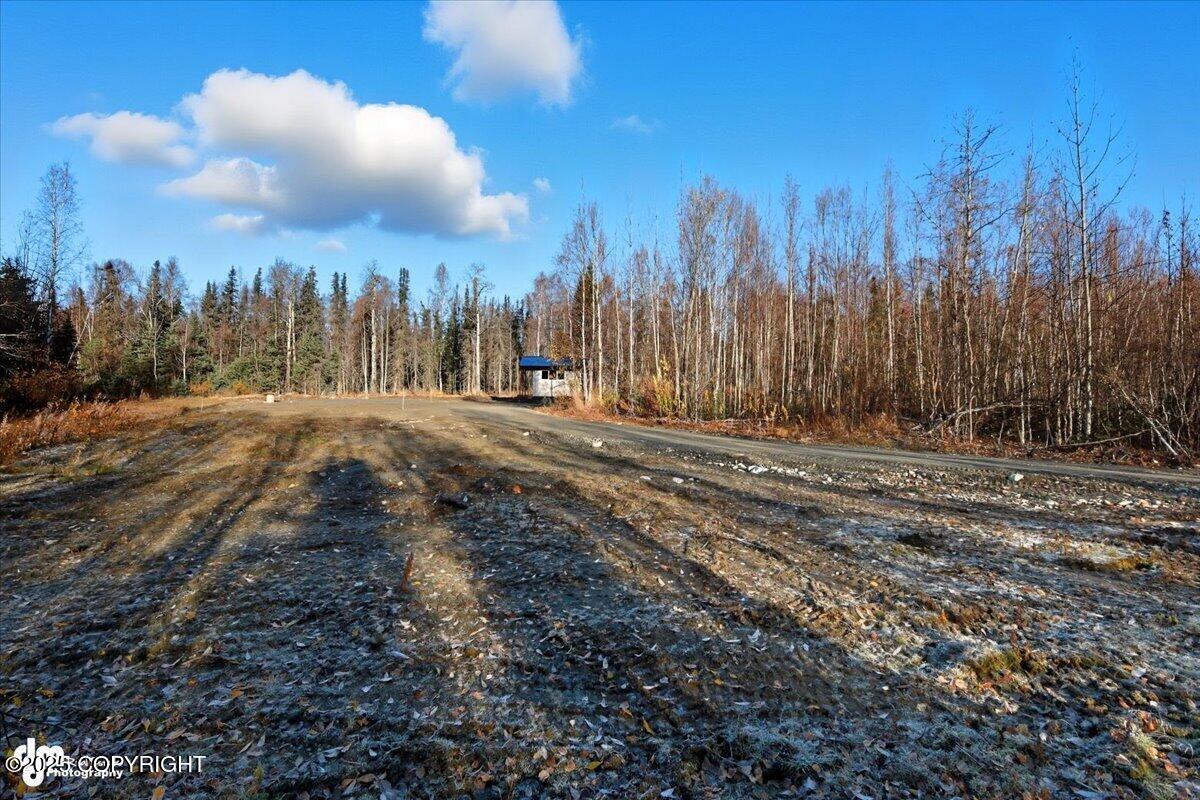 16395 E Kashwitna Road Property Photo 23