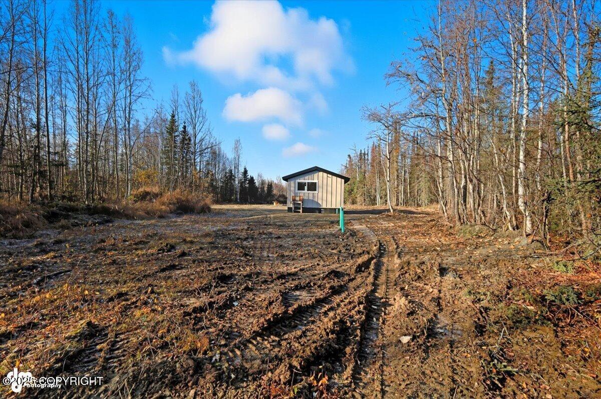 16395 E Kashwitna Road Property Photo 28