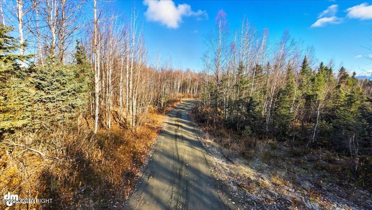 16395 E Kashwitna Road Property Photo 31