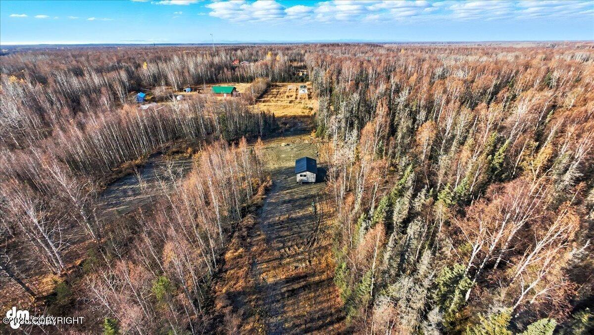 16395 E Kashwitna Road Property Photo 39