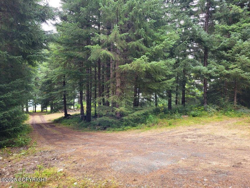 4153 Lutak Road Property Photo 7