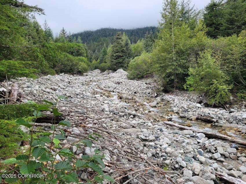 4153 Lutak Road Property Photo 9