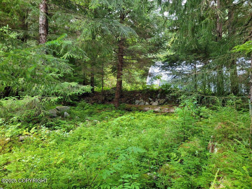 4153 Lutak Road Property Photo 10