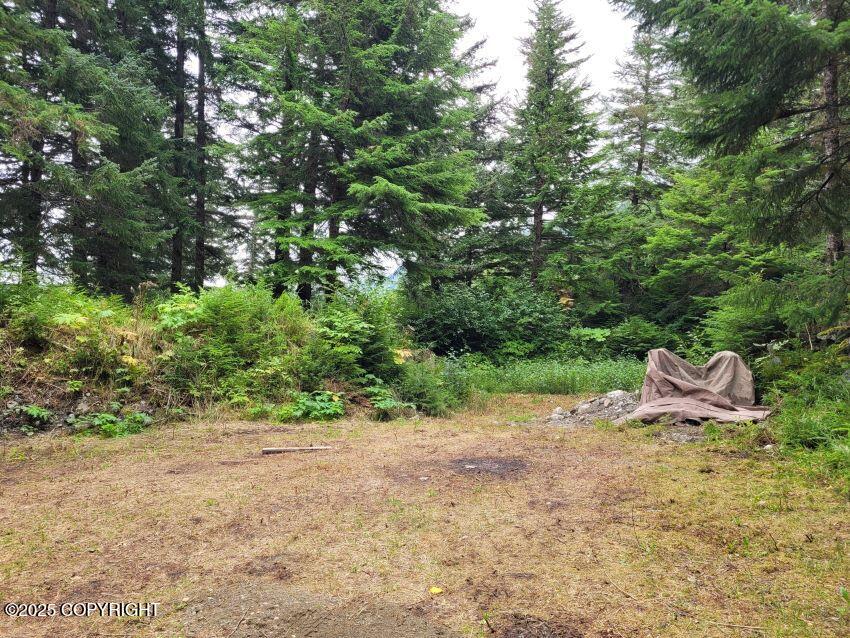 4153 Lutak Road Property Photo 11