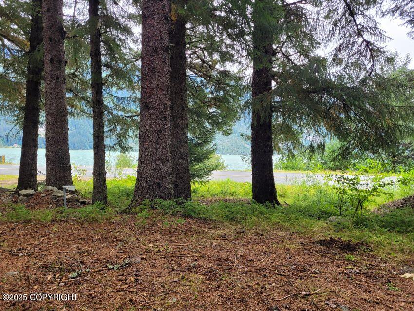 4153 Lutak Road Property Photo 12