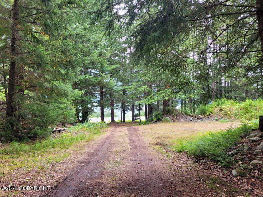 4153 Lutak Road Property Photo 14