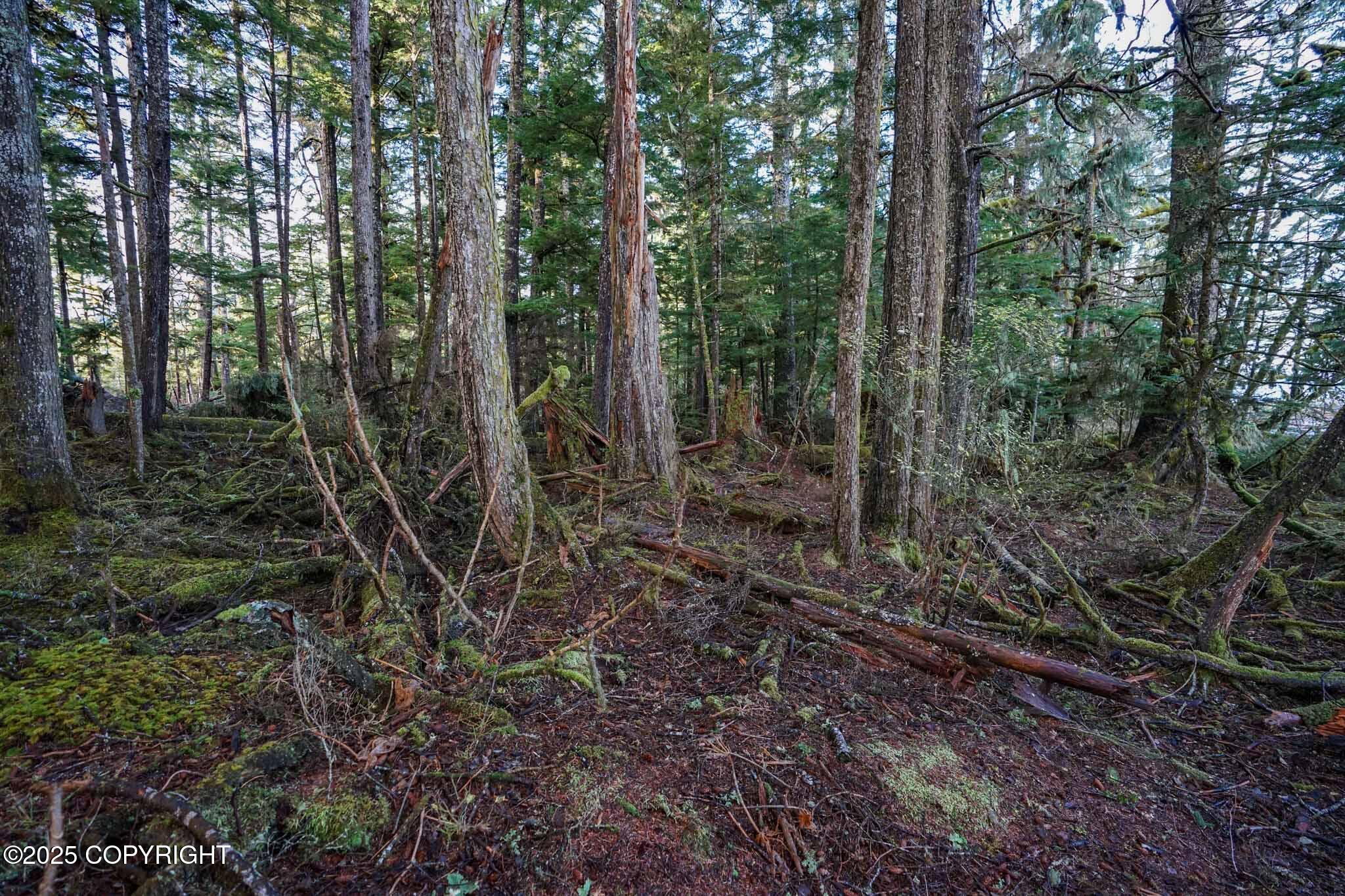 L4b2 Cedar Tree Drive Property Photo 14