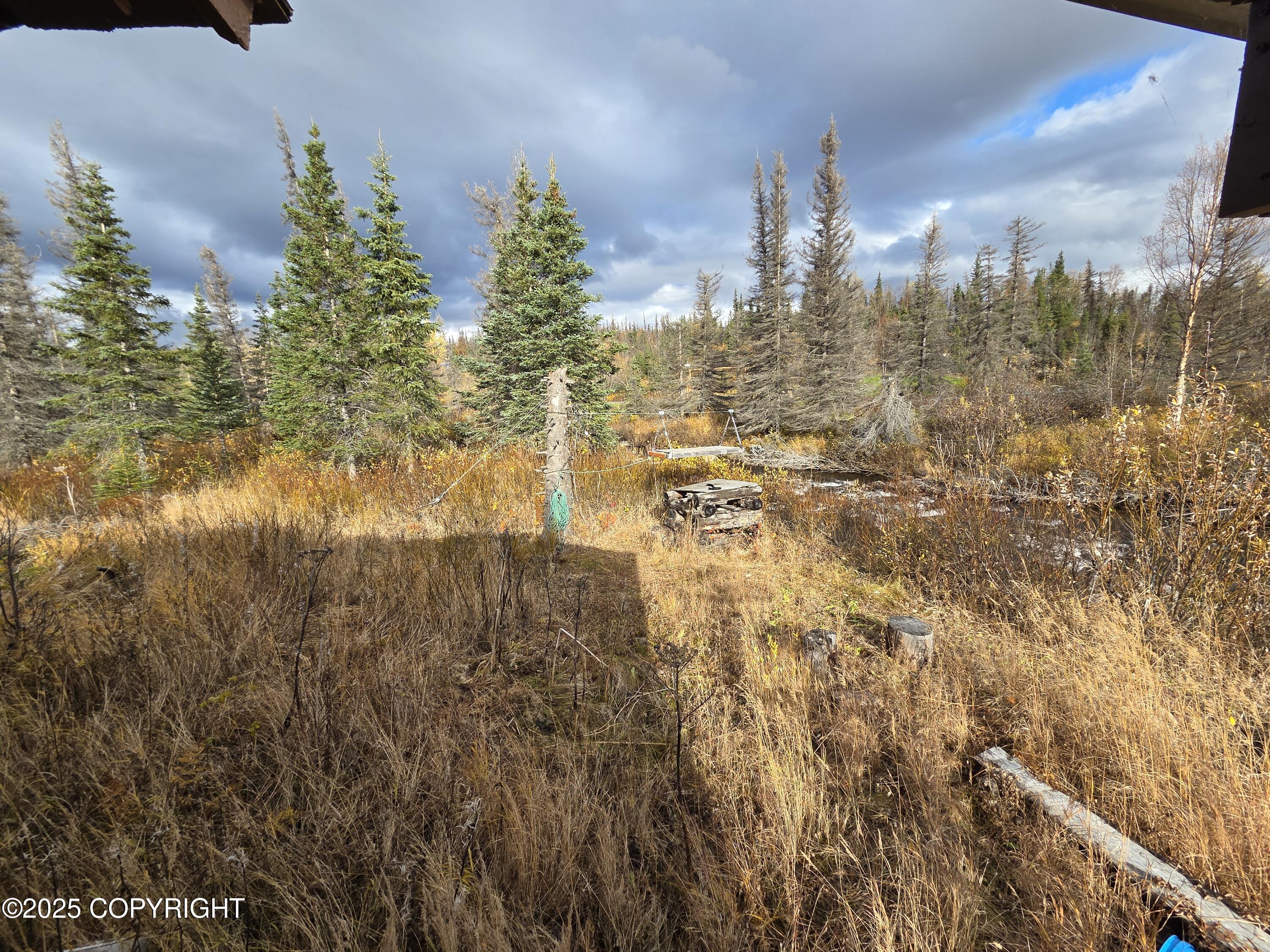 7240 W Willow Fishhook Road Property Photo 13