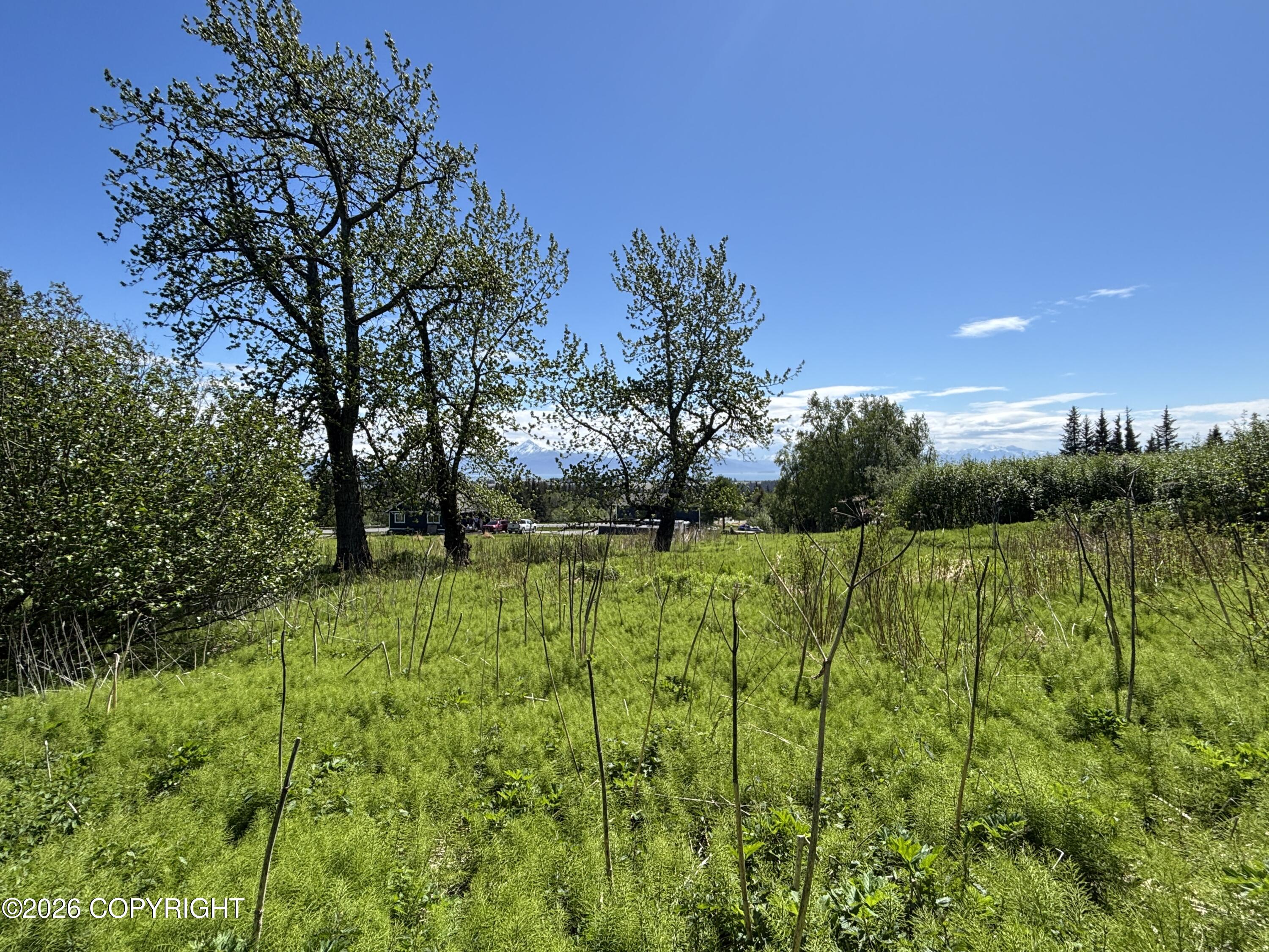 4570 Craftsman Road Property Photo 5