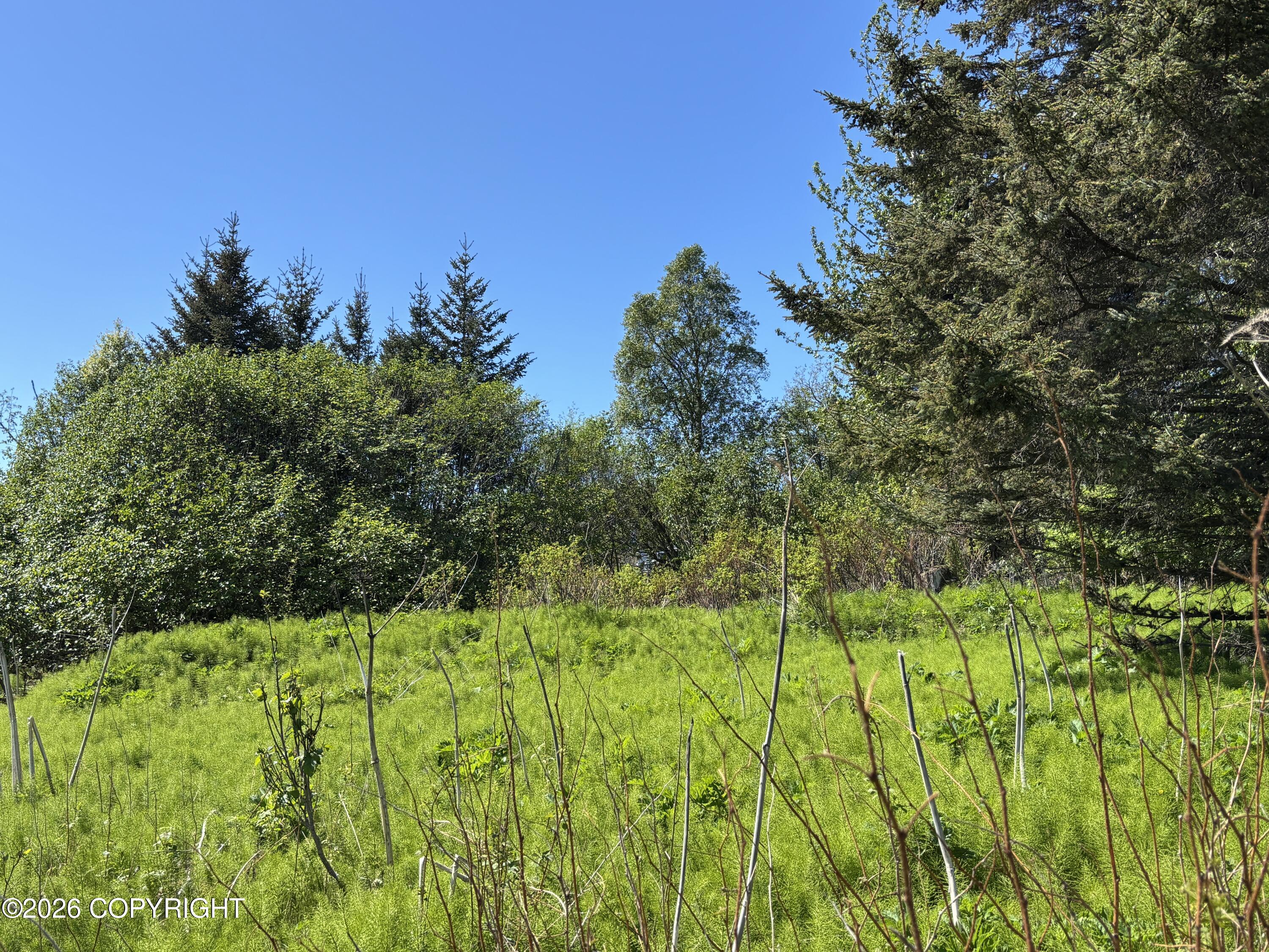 4570 Craftsman Road Property Photo 7
