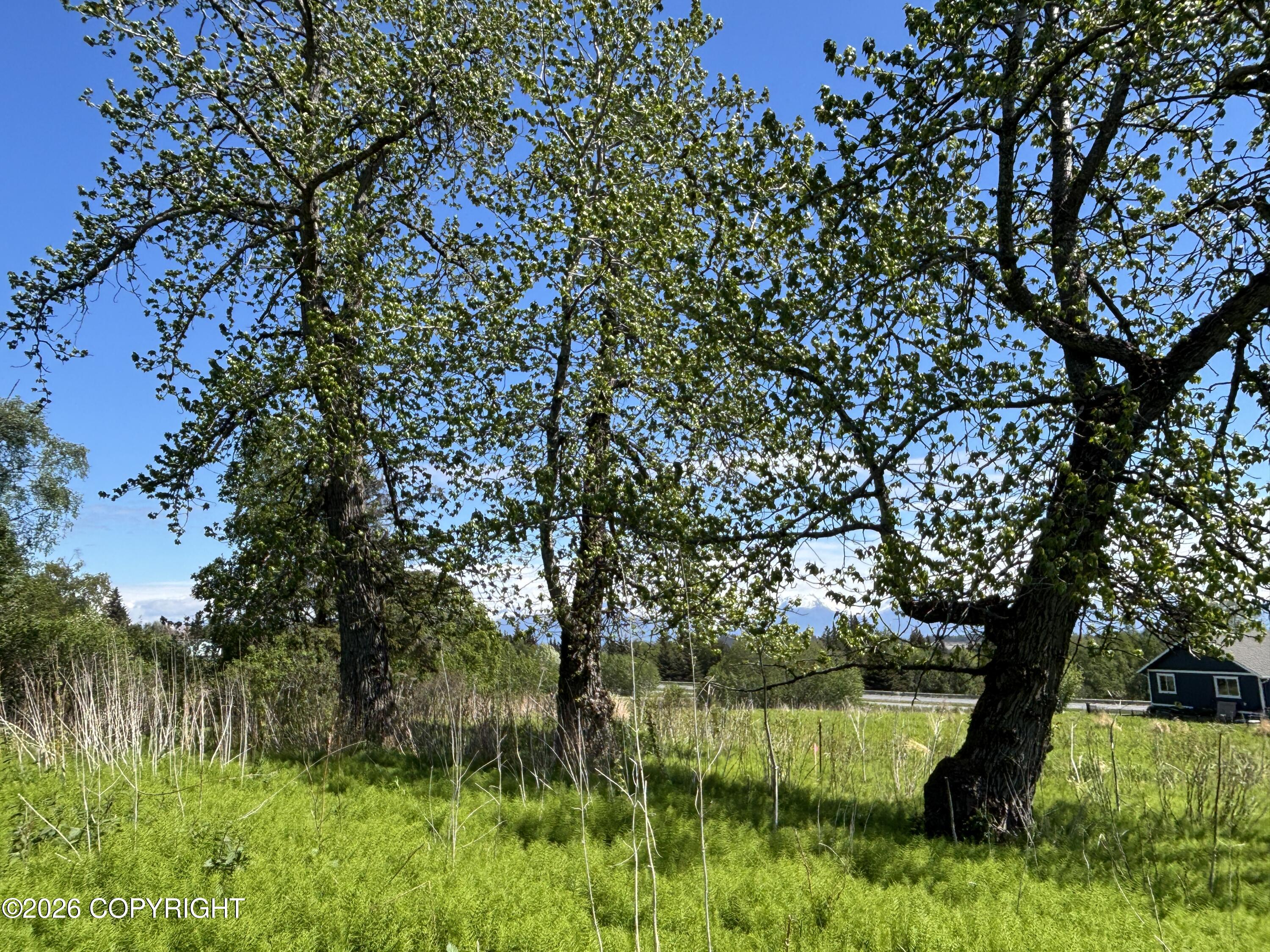 4570 Craftsman Road Property Photo 8