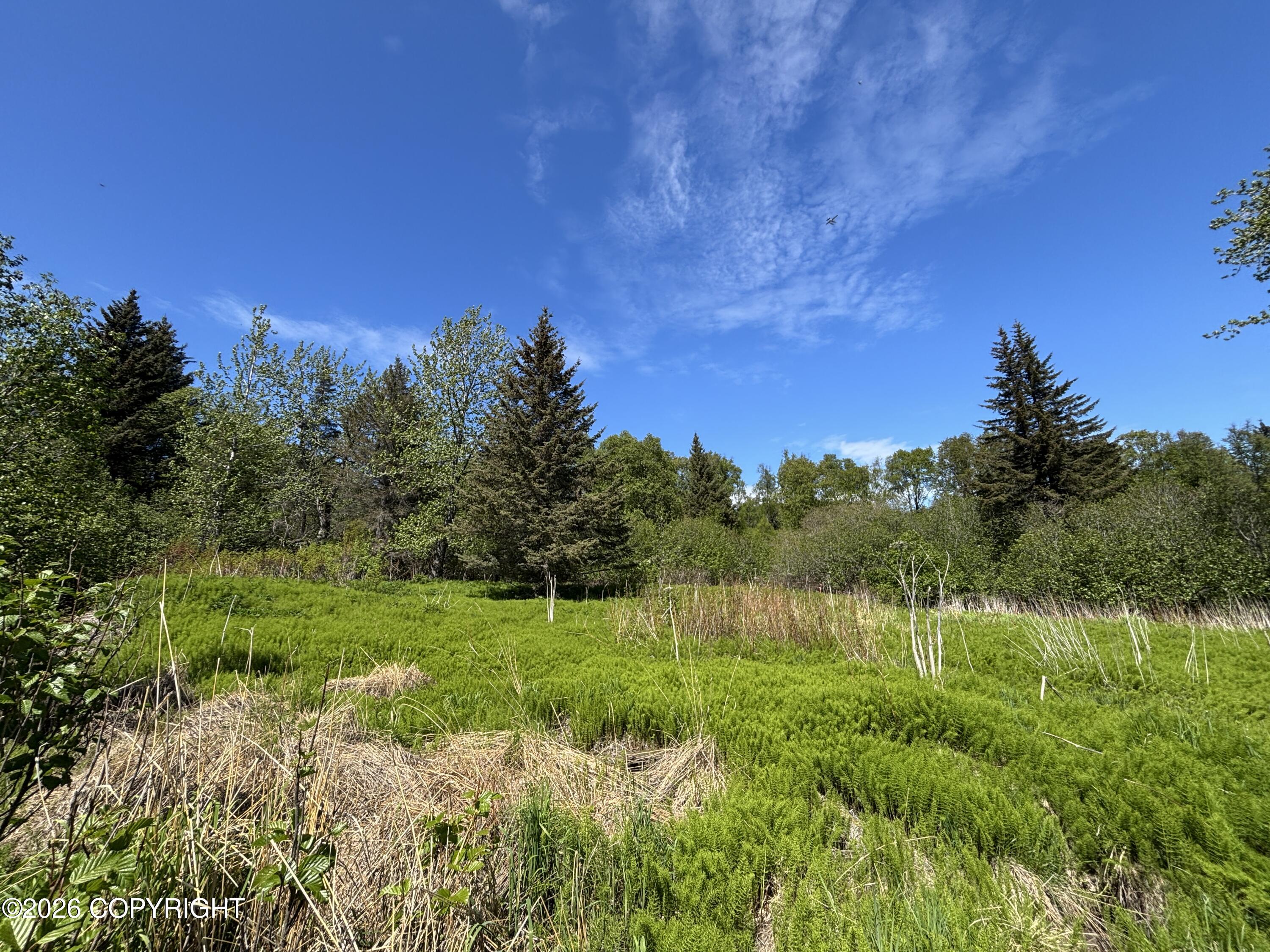 4570 Craftsman Road Property Photo 9