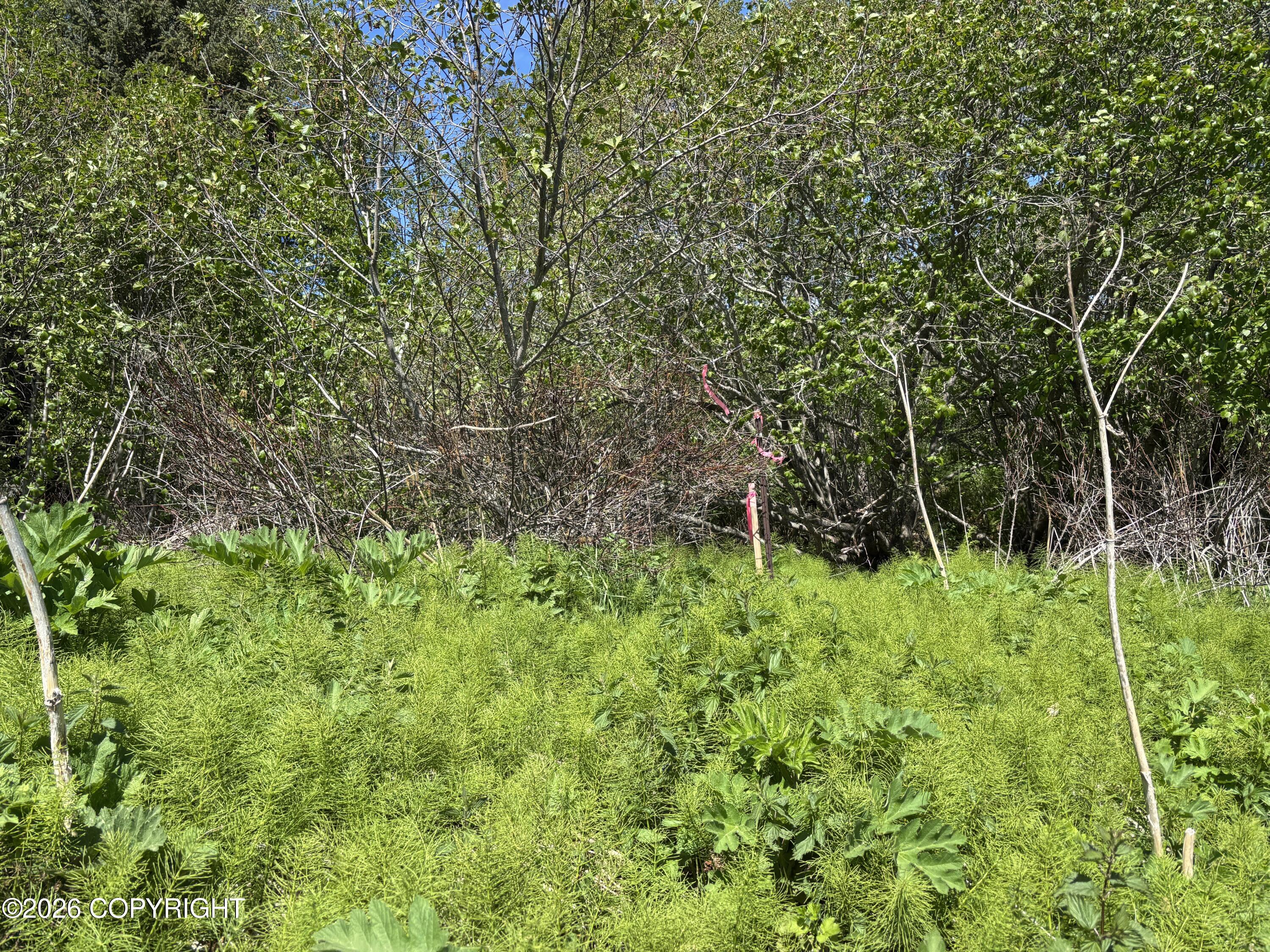 4570 Craftsman Road Property Photo 10
