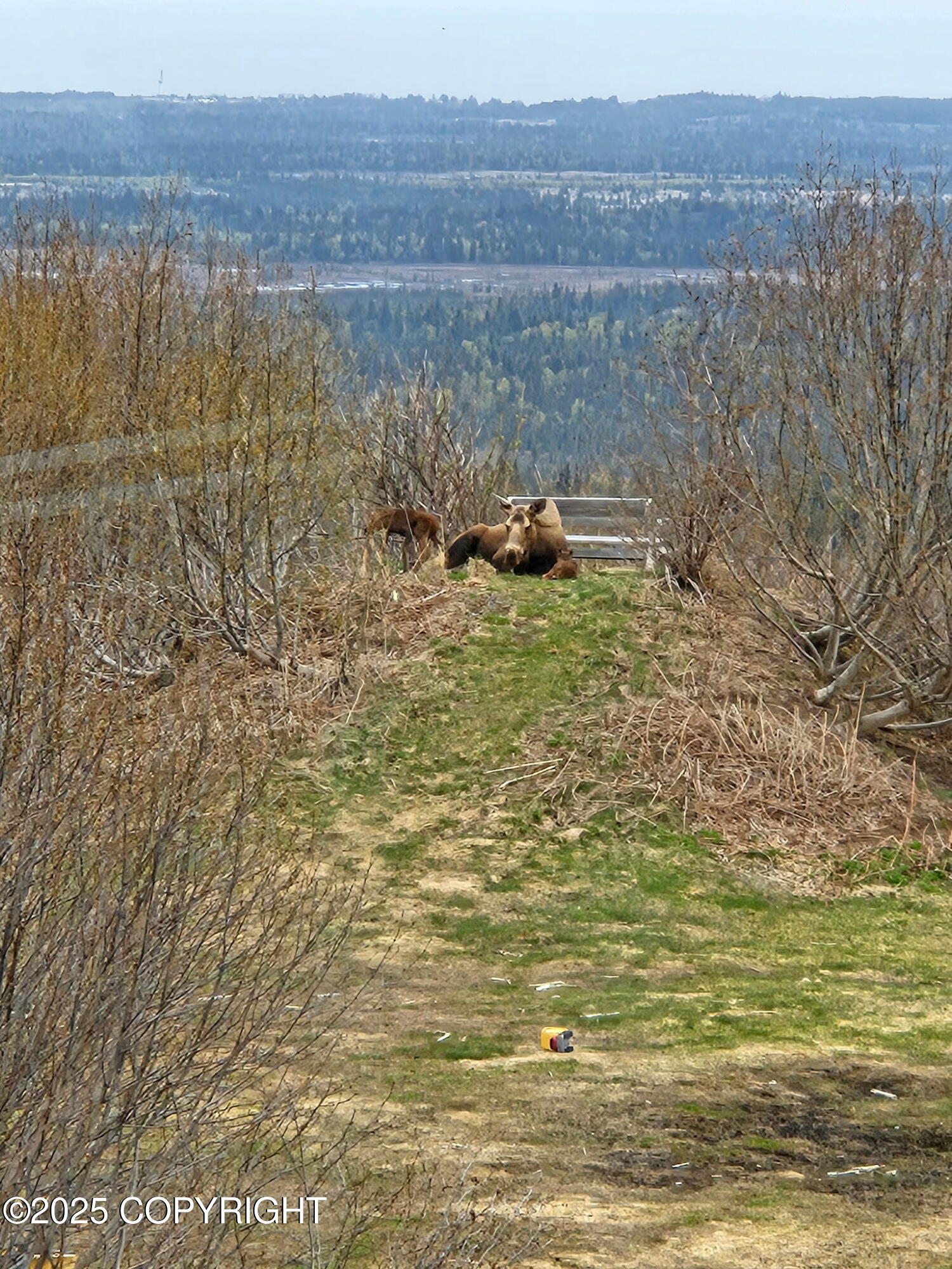 65265 Knob Hill Road Property Photo 91