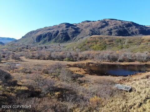 L4 Kizhuyak Bay Property Photo 1
