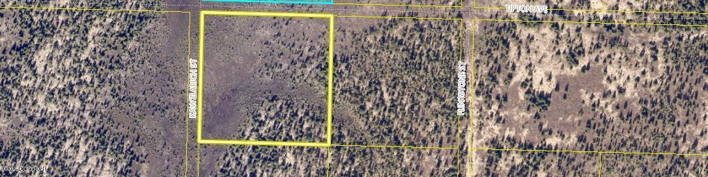 L11b Anchor River Ranchos Property Photo 2