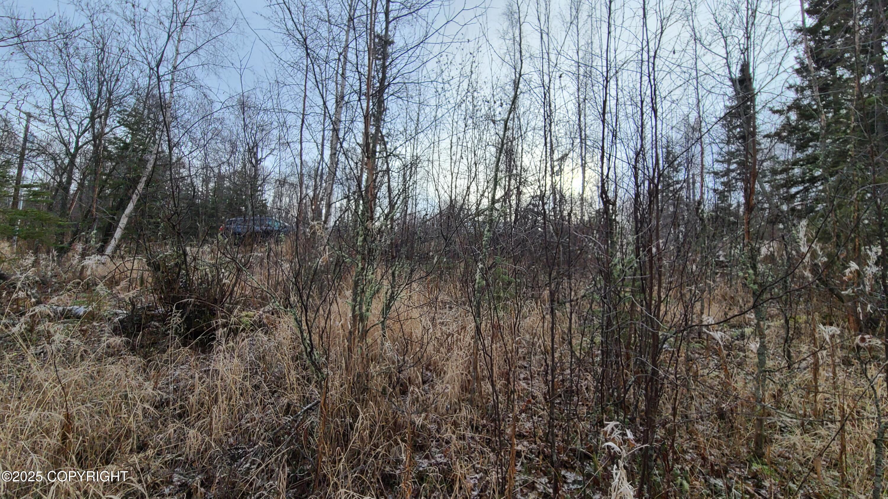 9111 W Sammie Circle Property Photo 5
