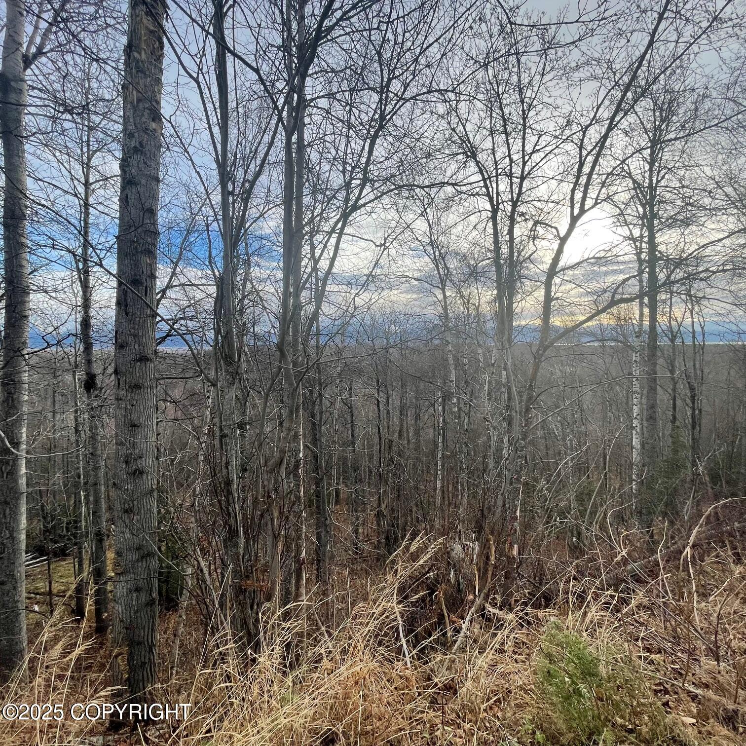 5500 W Birch Harbor Drive Property Photo 6
