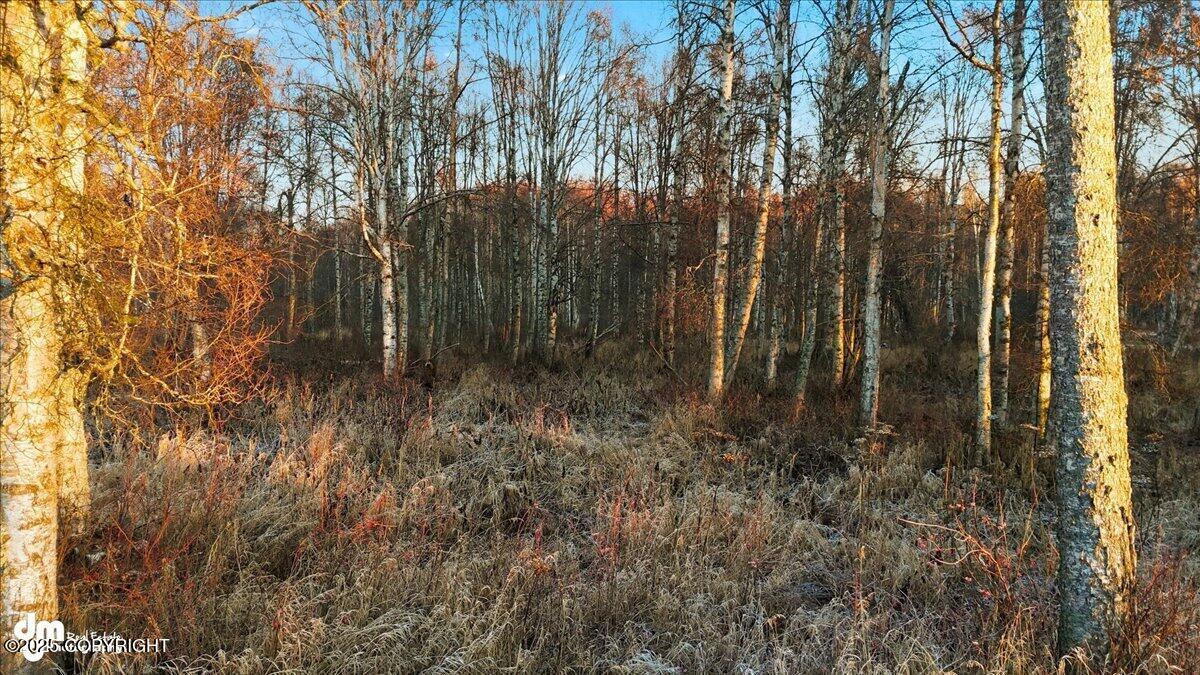 49168 S Hunter Drive Property Photo 10