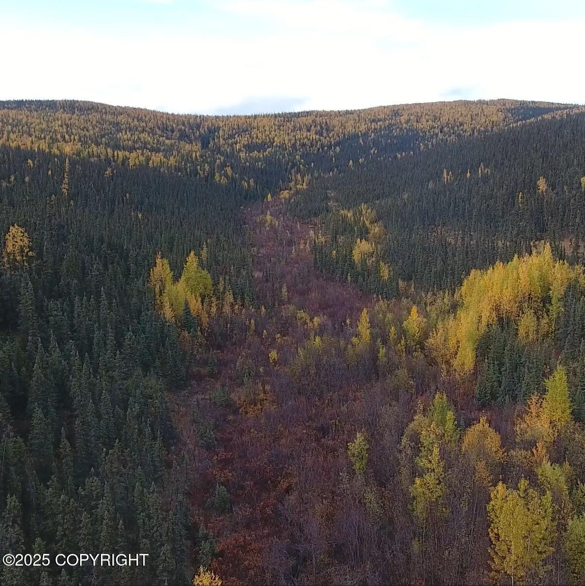 000 Little Boulder Creek Gold Mine Property Photo 10