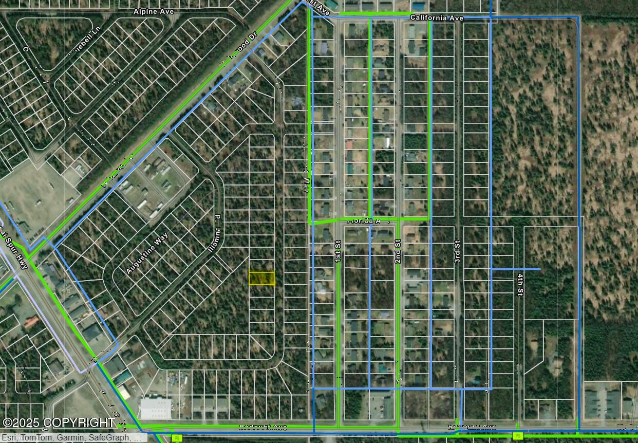 1041 Spur Drive Property Photo 3