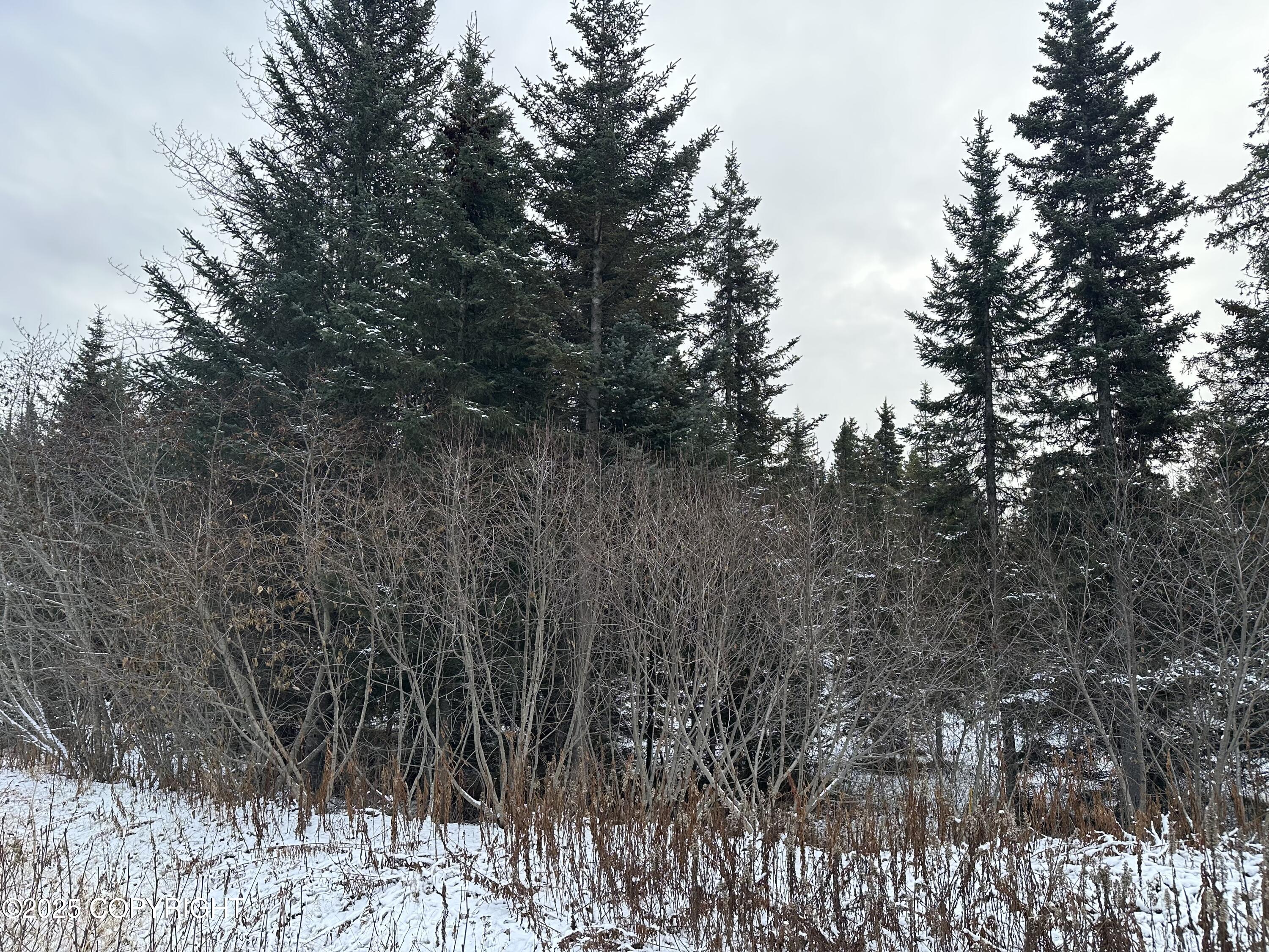 000 Old Sterling Highway Property Photo 1